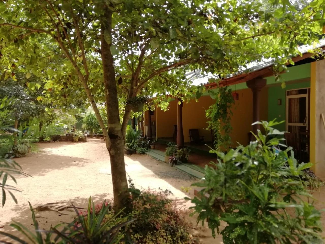 Sigiri La Veranda Lodge Szigirija Kültér fotó